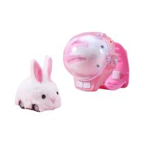 Carro RC Infantil Brinquedo Com Luzes LED 24GHz Mini Coelho Caranguejo Carro De Corrida Presente De