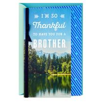 Cartão de aniversário Hallmark for Brother So Thankful