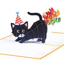 Cartão de Aniversário ROBBEAR Gato Engraçado Pop-Up 3D