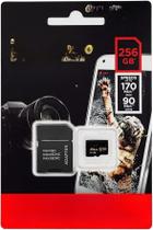 cartao de memoria de 256 Gb 170 mbs