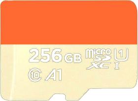 Cartao de memoria de 256 Gb de 100 mbs
