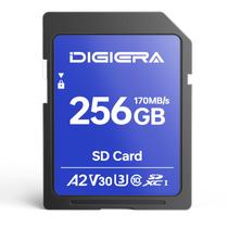 Cartão de Memória DIGIERA LS100 256GB SDXC UHS-I 170MB/s