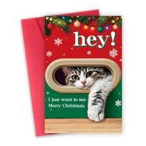 Cartão de Natal FSSDAS Gato Engraçado Presente de Natal 20x13 cm