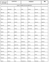 Cartela de rifa com 1000 nomes