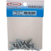 Cartela Parafuso Auto/Atarrachante Panela Preguim 4,8 X 16Mm Com 12 Pecas 4041