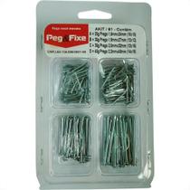 Cartela Prego Galvanizado Peg&Fixe Kit 120 Gramas Akit/61