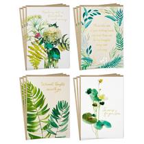 Cartões de Condolências Hallmark Aquarela Verde 12 Unidades Cartões de Condolências Hallmark Aquarela Verde 12 Unidades