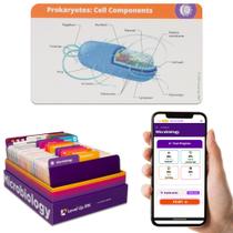 Cartões flash Level Up RN Microbiology 400 Cards 2025 TEAS HESI A2