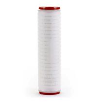 Cartucho Absoluto 10" Microbiológico 0,22 Micra Certificado