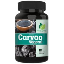 Carvão Vegetal Ativado Puro 120 Cápsulas - Fonte Verde