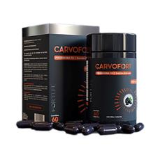 Carvofort Piridoxina + Carvão Ativado 60 Cápsulas - Fortlife