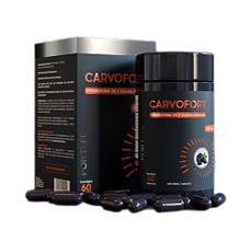 Carvofort Piridoxina + Carvão Ativado 60 Cápsulas - Fortlife