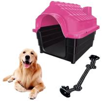Casa Cachorro Plástica N4 Rosa + Brinquedo Corda Interativo