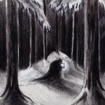 Casa Havulinnaan O Pomar