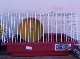 Casa para Hamster