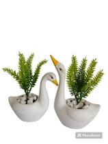 Casal de Cisne Vaso Cachepô Decoração Casal de Cisne Vaso Cachepô Decoração