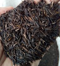 Casca de arroz carbonizada - 10 litros