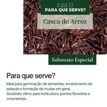 Casca De Arroz Carbonizada 3 Lts Casca De Arroz Carbonizada 3 Lts
