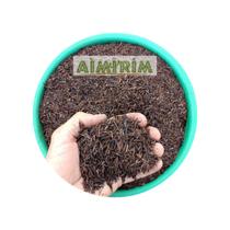 Casca de Arroz Carbonizada 50 Litros Palha de Arroz para plantas cultivo cactos suculentas flores folhagens grow - AIMIRIM