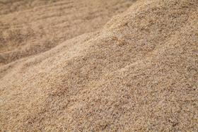Casca de arroz natural