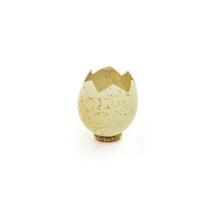 Casca de Ovo de Páscoa Quebrado com Suporte Ninho - Amarelo - 1 unidade - Cromus - Rizzo