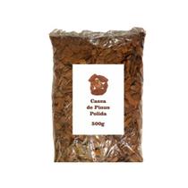 Casca de Pinus Média Polida para Decoração de Vasos e Jardins 500g