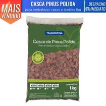 Casca de Pinus Polida Mini 1kg Jardim Vasos Decorção Floricultura Jardinagem Enfeite