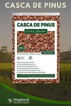 CASCA DE PINUS POLIDA NATURAL DECORAÇÃO 40 LTS TAM: 3 A 4 mm CASCA DE PINUS POLIDA NATURAL DECORAÇÃO 40 LTS TAM: 3 A 4 mm