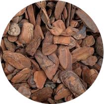 Casca De Pinus Polida Substrato Decorativo 7 Litros - 1,5kg
