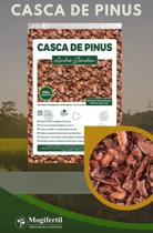 Casca de pinus semi polida natural decoração 40 lts Gold Plant