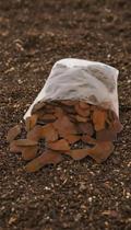 Casca de Pinus Tratada 8kg
