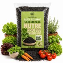 Casca Palha Arroz Carbonizada 20 Litros Substrato Orgânico Casca Palha Arroz Carbonizada 20 Litros Substrato Orgânico