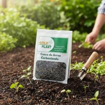Casca palha de arroz carbonizada CAC 10 kg , litragem média 100 litros Gold Plant