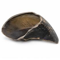 Casco Boi 100% Natural Mordedor Cachorro Bovino Petisco Pet - Casco Boi 100% Natural Mordedor Cachorro Bovino Petisco Pet -