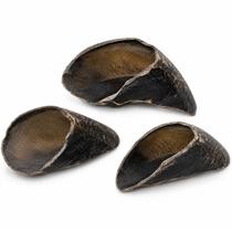 Casco Boi 100% Natural Mordedor Cachorro Bovino Petisco Pet - Casco Boi 100% Natural Mordedor Cachorro Bovino Petisco Pet -