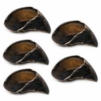 Casco Boi 100% Natural Mordedor Cachorro Bovino Petisco Pet - Casco Boi 100% Natural Mordedor Cachorro Bovino Petisco Pet -