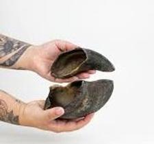 Casco Bovino Natural para Cães - Kit com 10 Unidades