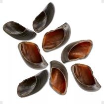 Casco Bovino Rustico 100% Natural 8 Unidades Selecionadas