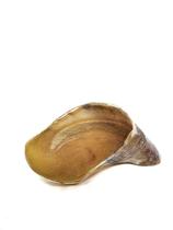 Casco Natural Desidratado 1 und