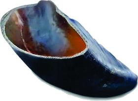 Casco Natural Desidratado 1 und P