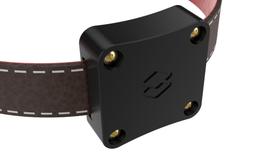 Case Para Coleira Pet Rastreador Compatível Airtag Localizador Case Para Coleira Pet Rastreador Compatível Airtag Localizador