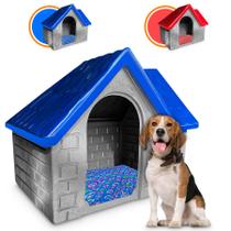 Casinha Casa Plástica Cachorro Médio Porte Bangalo Número 4 Com Colchão Casinha Casa Plástica Cachorro Médio Porte Bangalo Número 4 Com Colchão