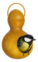 Casinha De Passarinho Ninho De Cabaça Mini Aves Canário