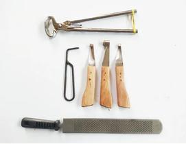 Casqueamento Profissional Equino Ferrageamento Casqueamento Profissional Equino Ferrageamento