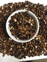 Castanha de baru crua - Quebrada safra 2024 - Pacote 250 G