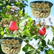 Castanha de Caju Assada Inteiras e Quebradas - 600g