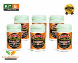 Castanha Indiana Concentrado 500mg Kit com 6 Unidades 30 Cápsulas Suplemento Alimentar