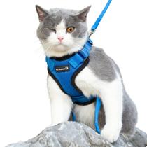 Cat Harness Mr. Peanut's PurrTrek Reflective com coleira azul XS