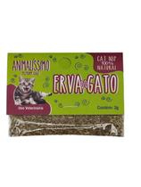 Cat Nip Erva Do Gato Sachê 2 G Natural Pet Premium Care
