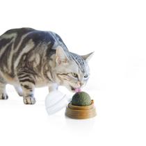 Cat Toy Cat Nip Ball com capa, bolas de catnip autoadesivas Cat Toy Cat Nip Ball com capa, bolas de catnip autoadesivas